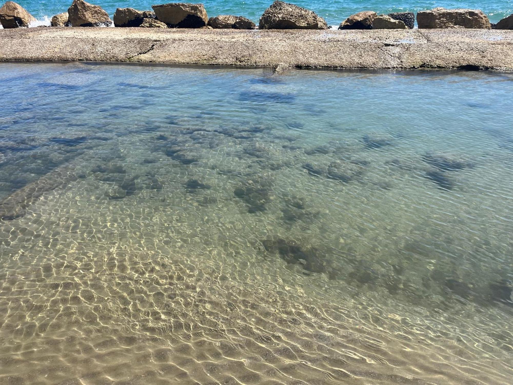 Il Cavalluccio Anzio Exteriör bild